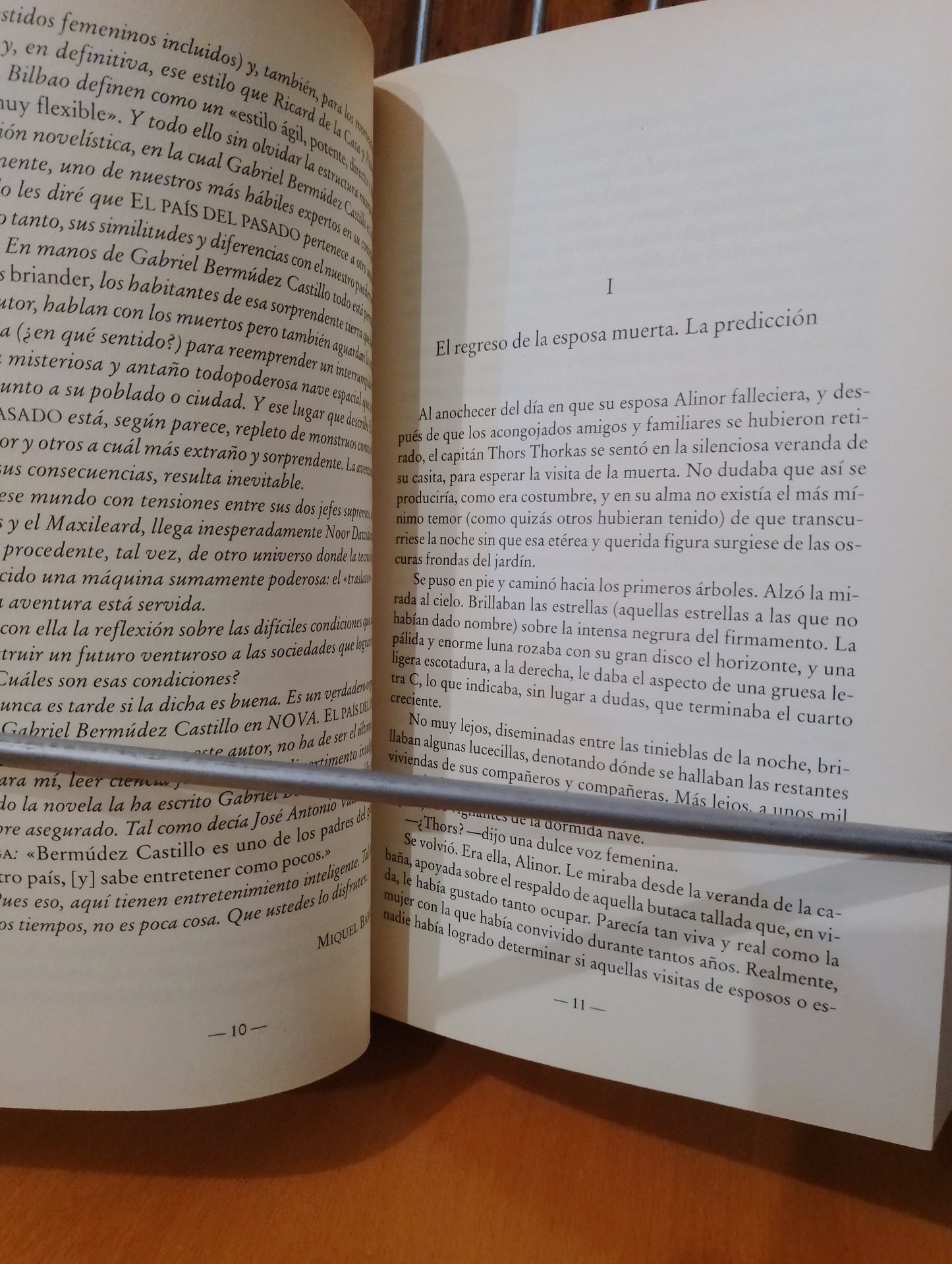 El pais del pasado. Gabriel Bermúdez Castillo