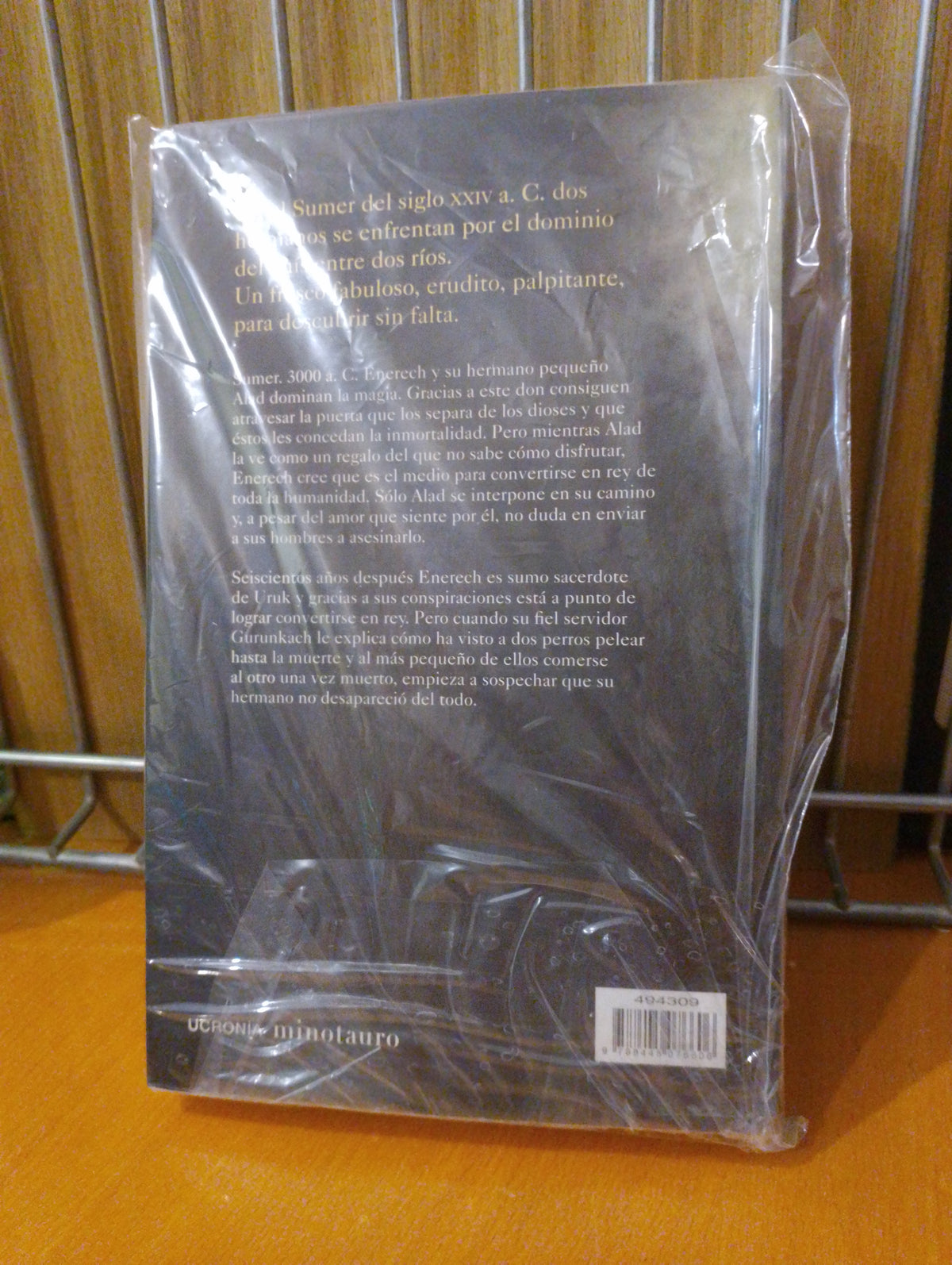 Los magos de Sumer. Michel Pagel