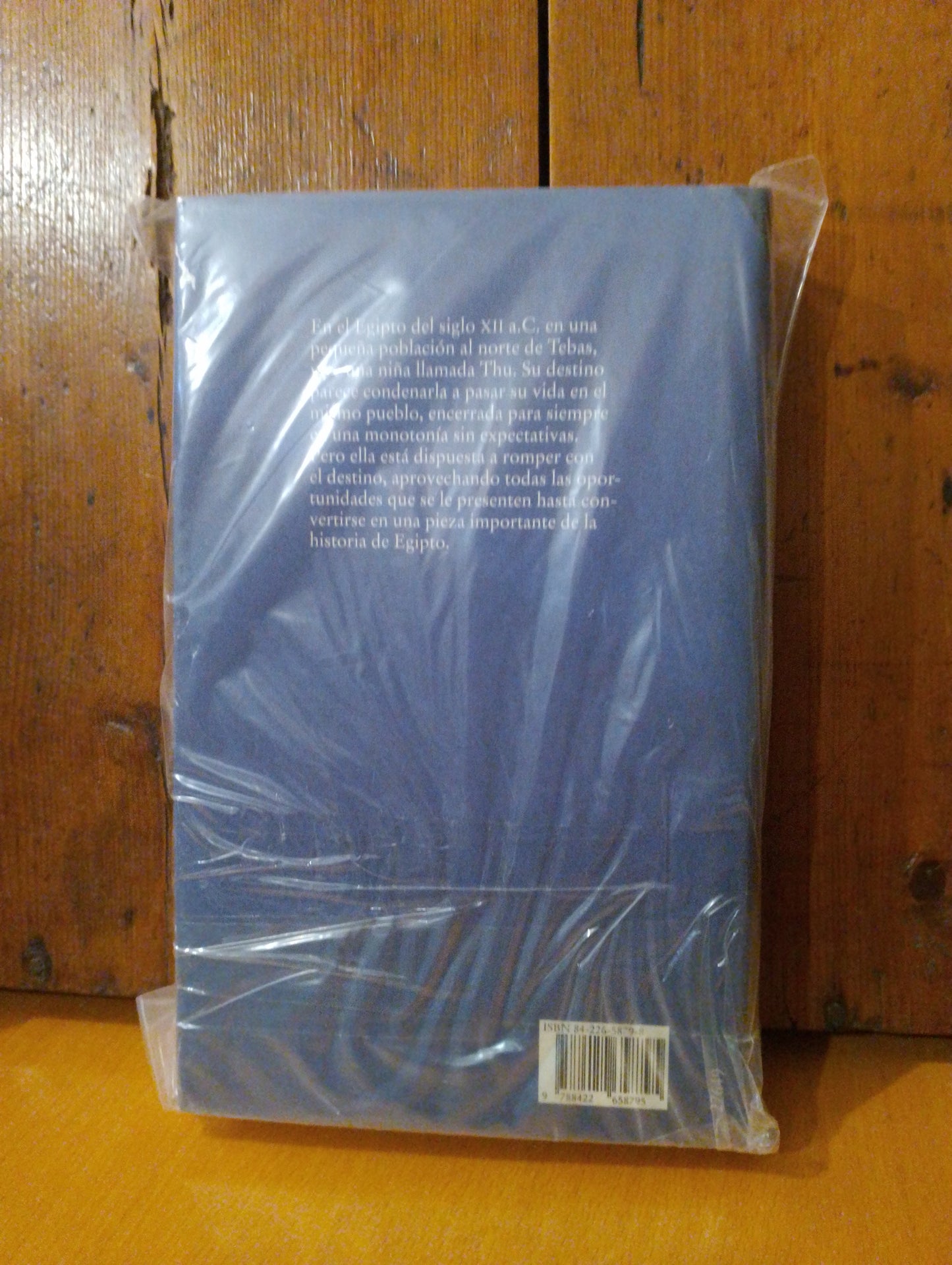 La casa de los sueños. Pauline Gedge