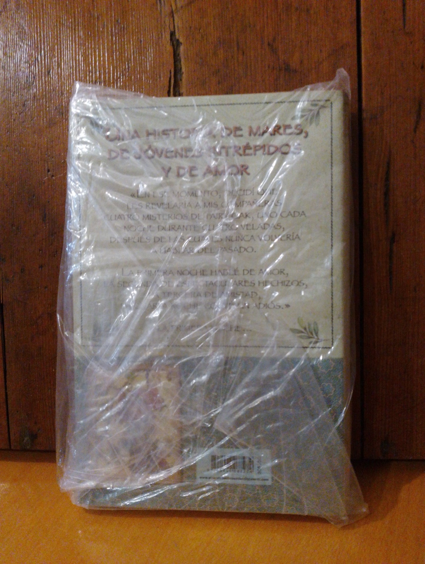 Capitan Grisman y el amor. Fairy Oak. Elisabetta Gnone