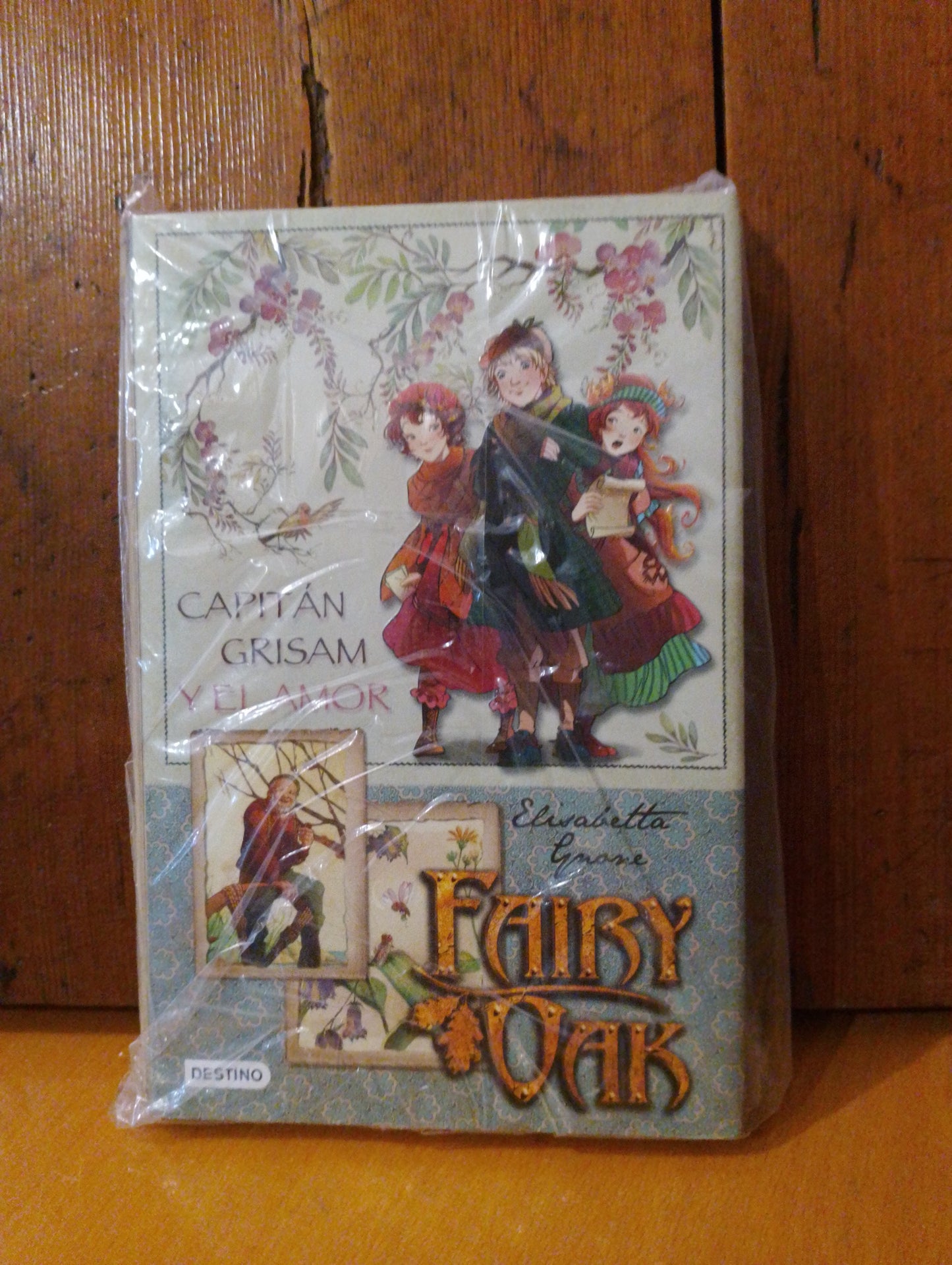 Capitan Grisman y el amor. Fairy Oak. Elisabetta Gnone