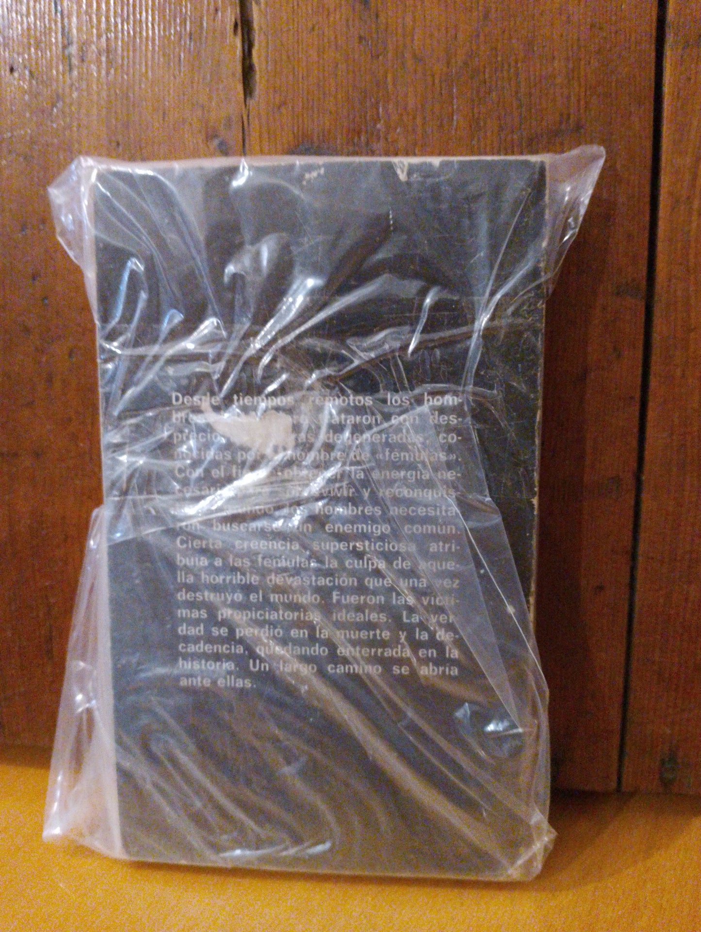 Caminando hacia el fin del mundo. Suzy Mckee Charmas