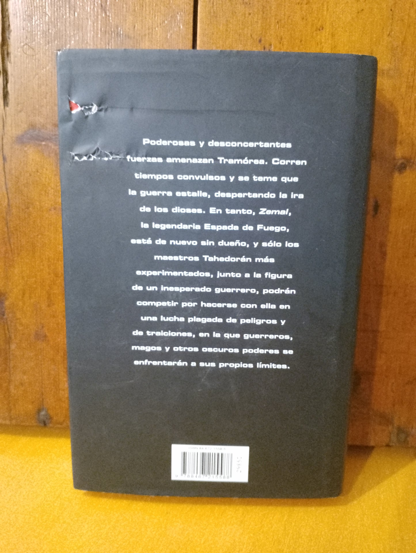 La espada de fuego. Javier Negrete