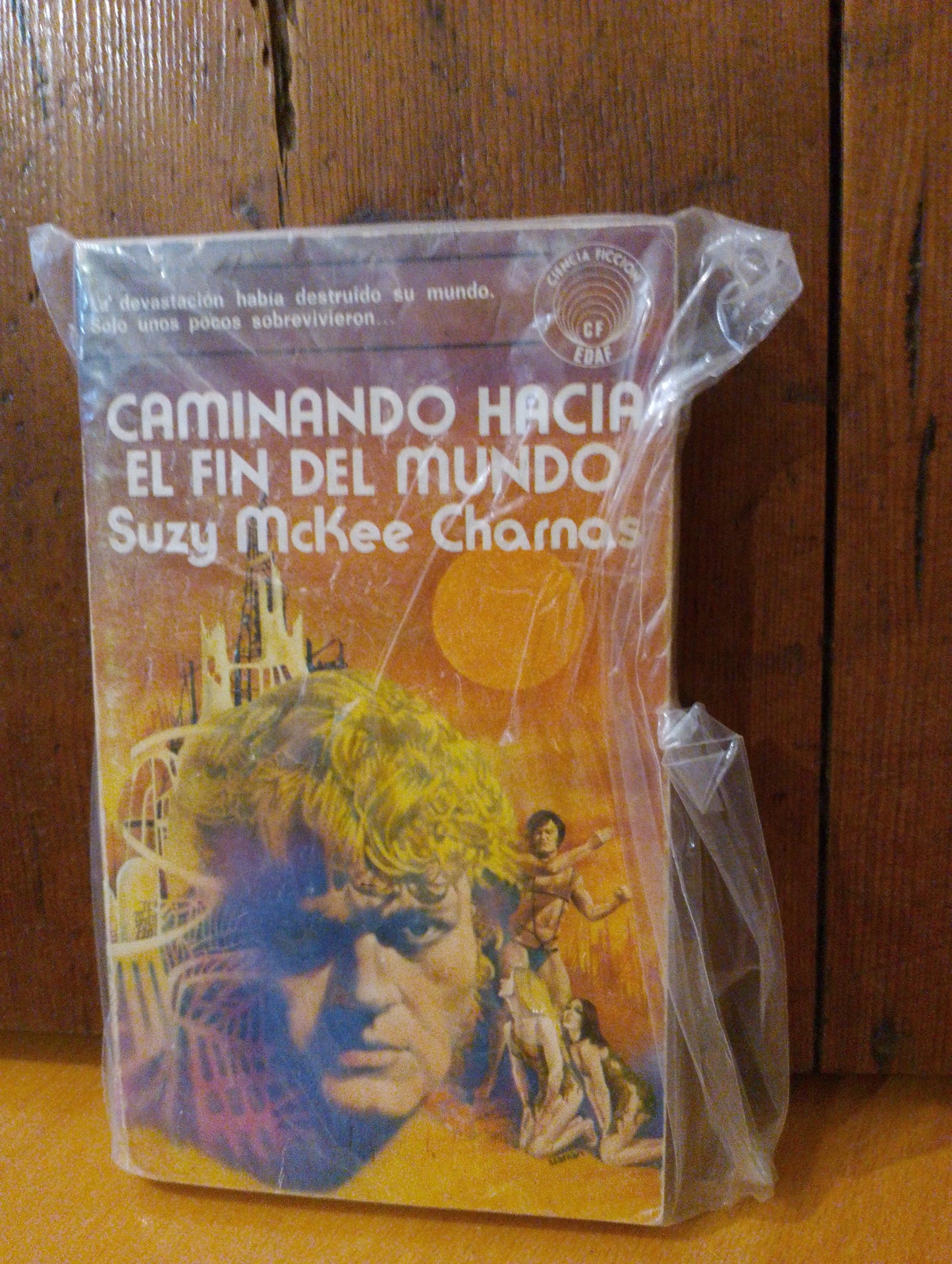 Caminando hacia el fin del mundo. Suzy Mckee Charmas