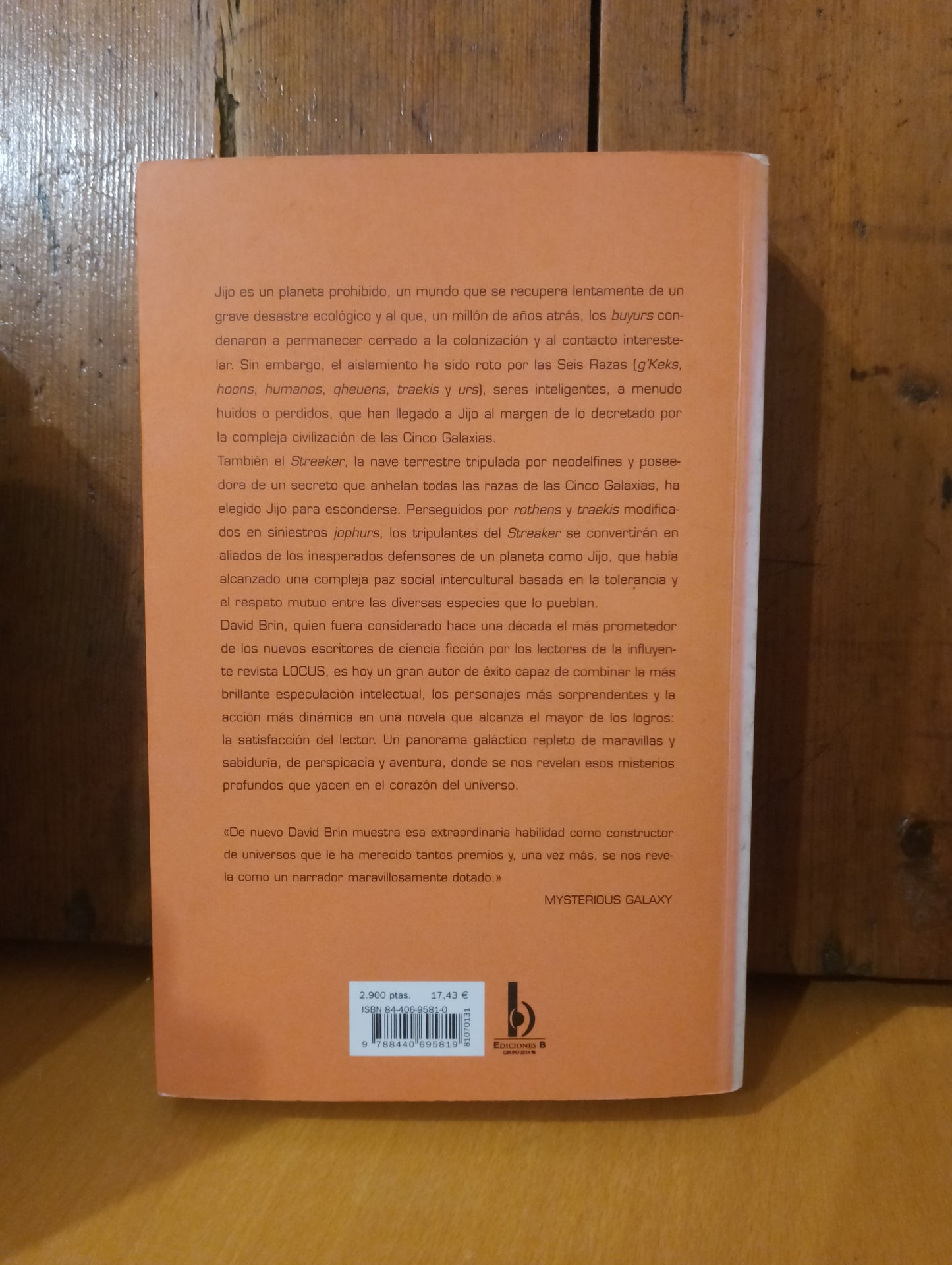 Los limites del cielo. David Brin