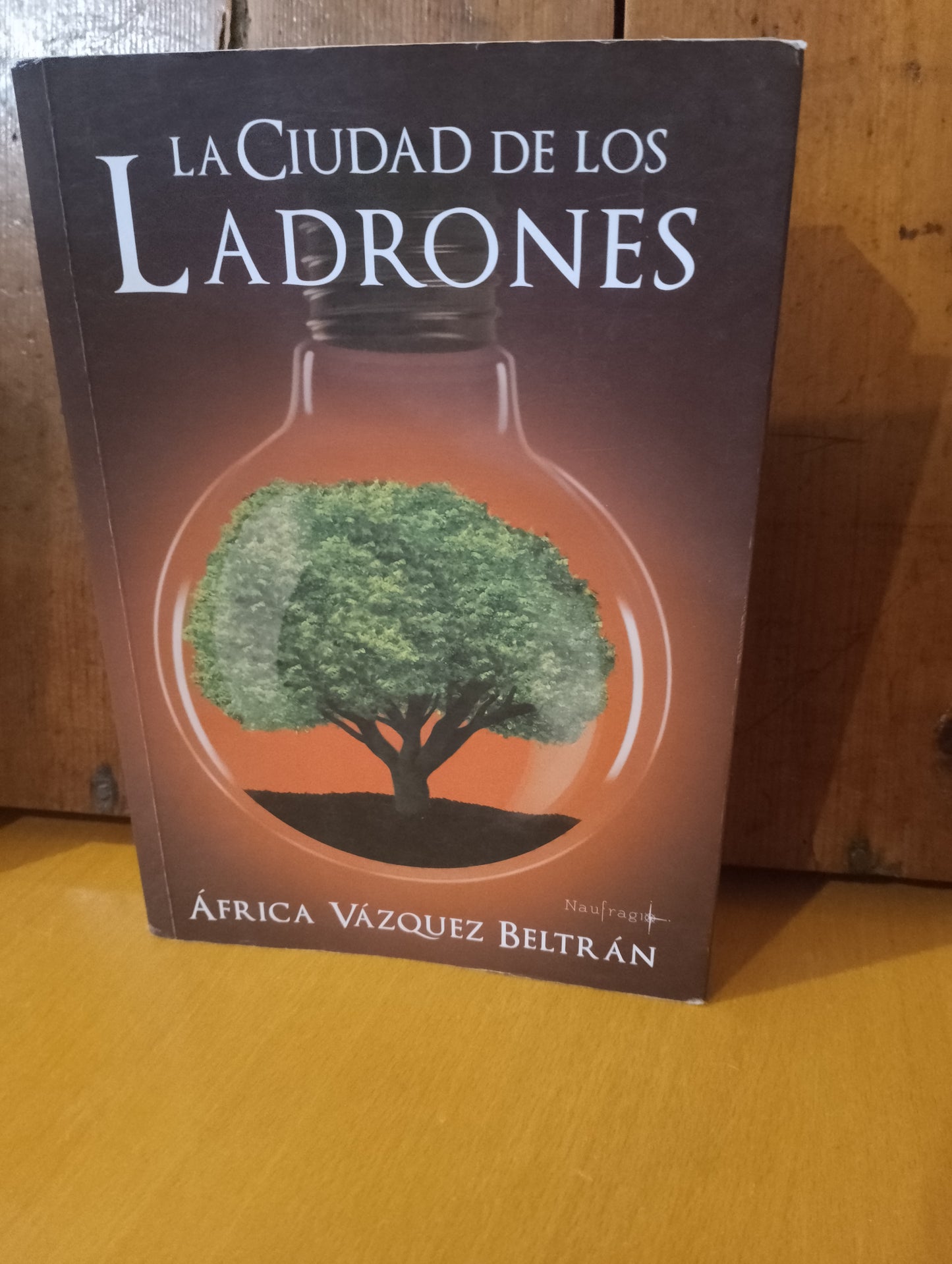 La ciudad de los ladrones. África Vázquez Beltrán