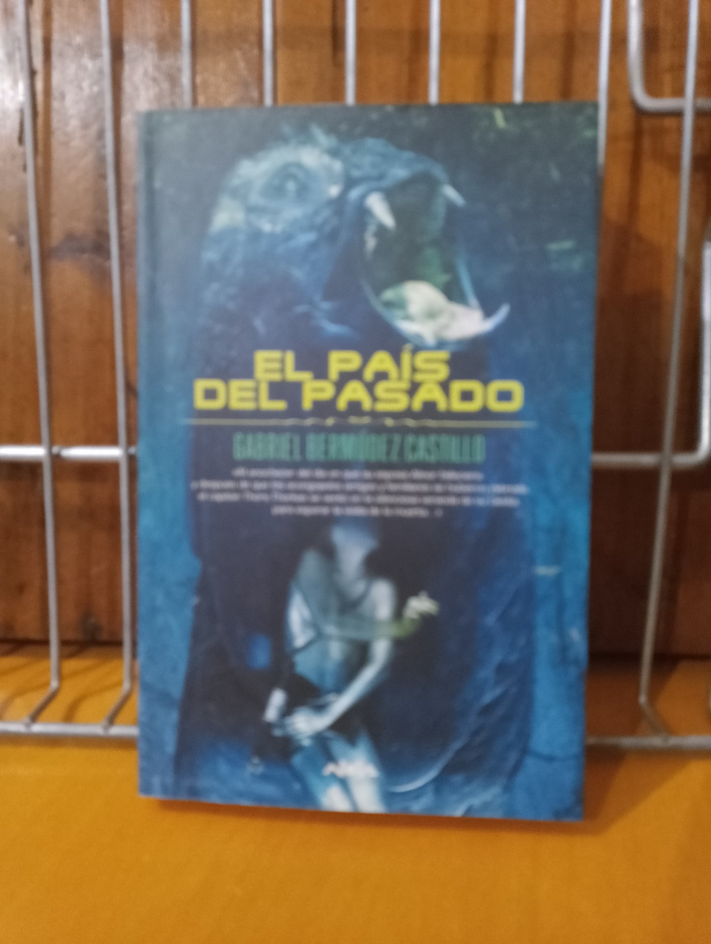 El pais del pasado. Gabriel Bermúdez Castillo
