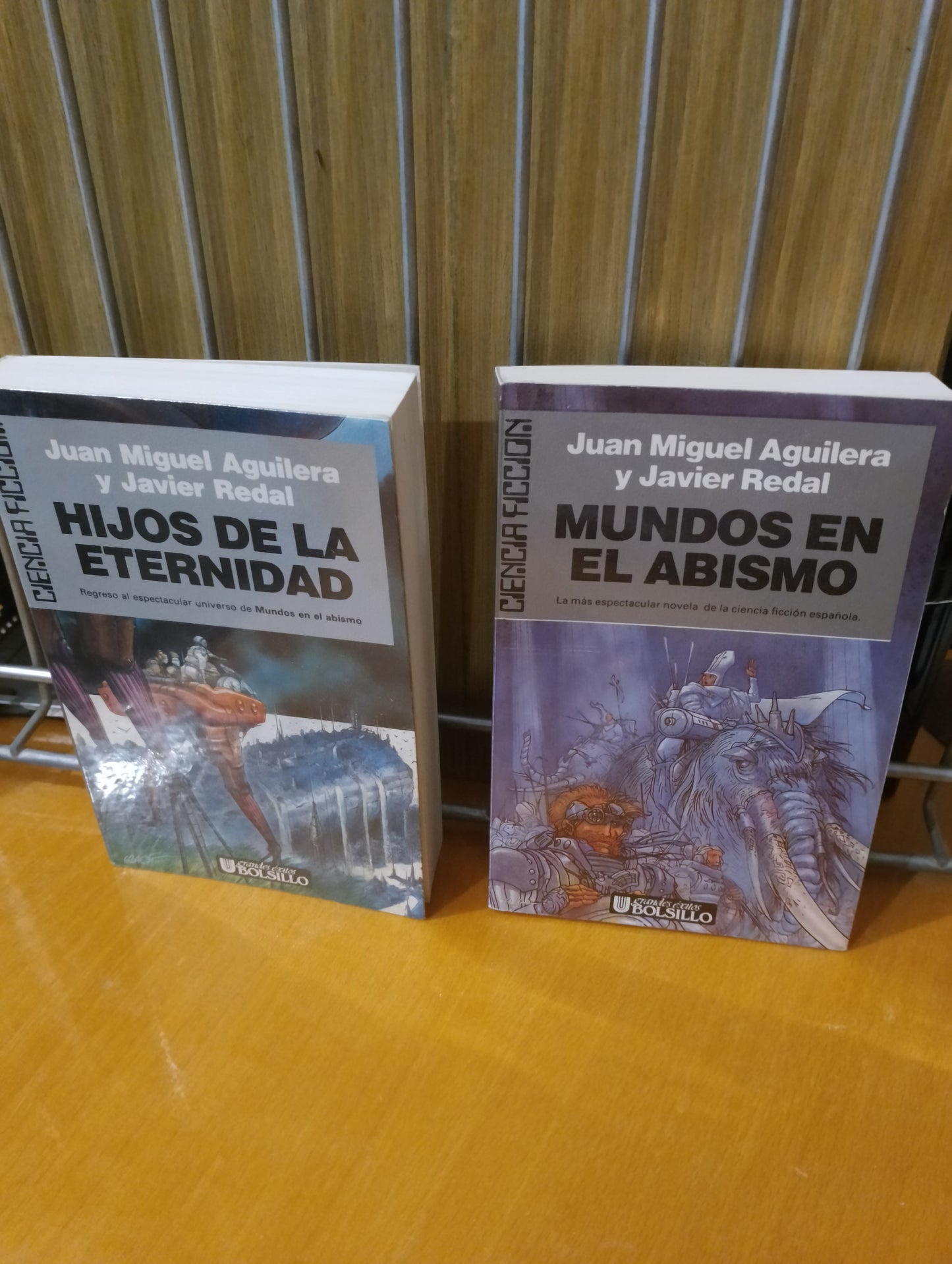 Mundos en el abismo. Hijos de la eternidad. Juan Miguel Aguilera. Javier Redal