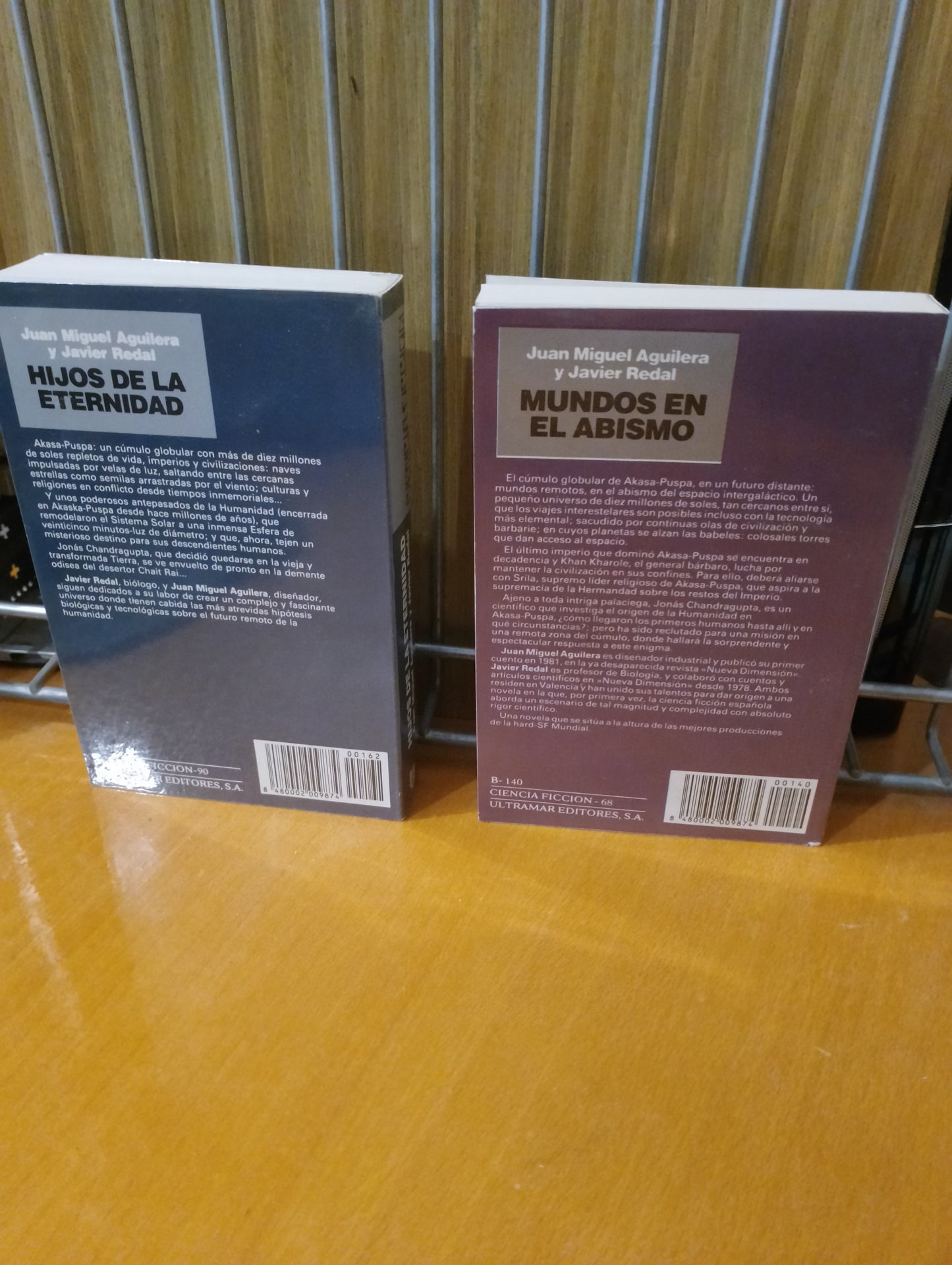 Mundos en el abismo. Hijos de la eternidad. Juan Miguel Aguilera. Javier Redal