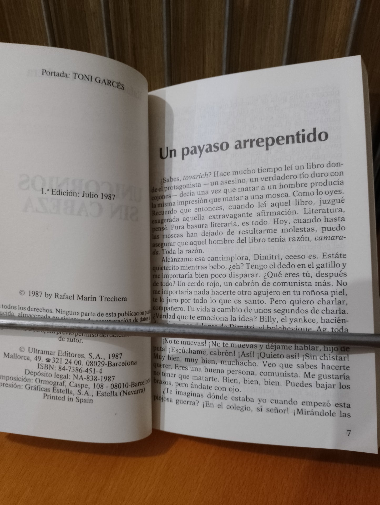 Unicornios sin cabeza. Rafael Marín Trechera