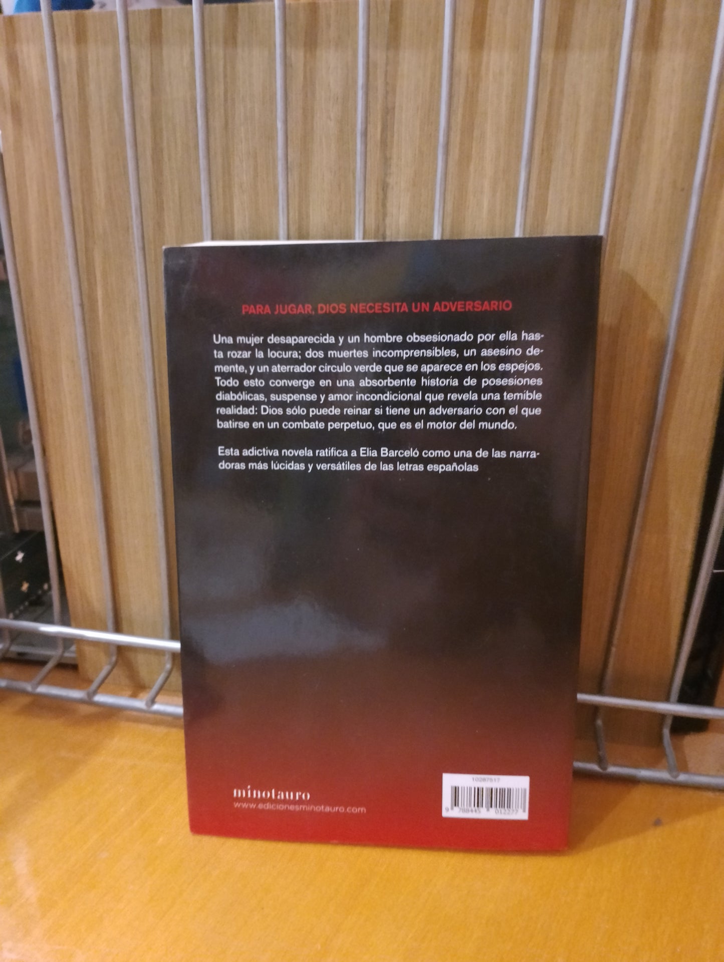 Uke, el contrincante. Elia Barcelo