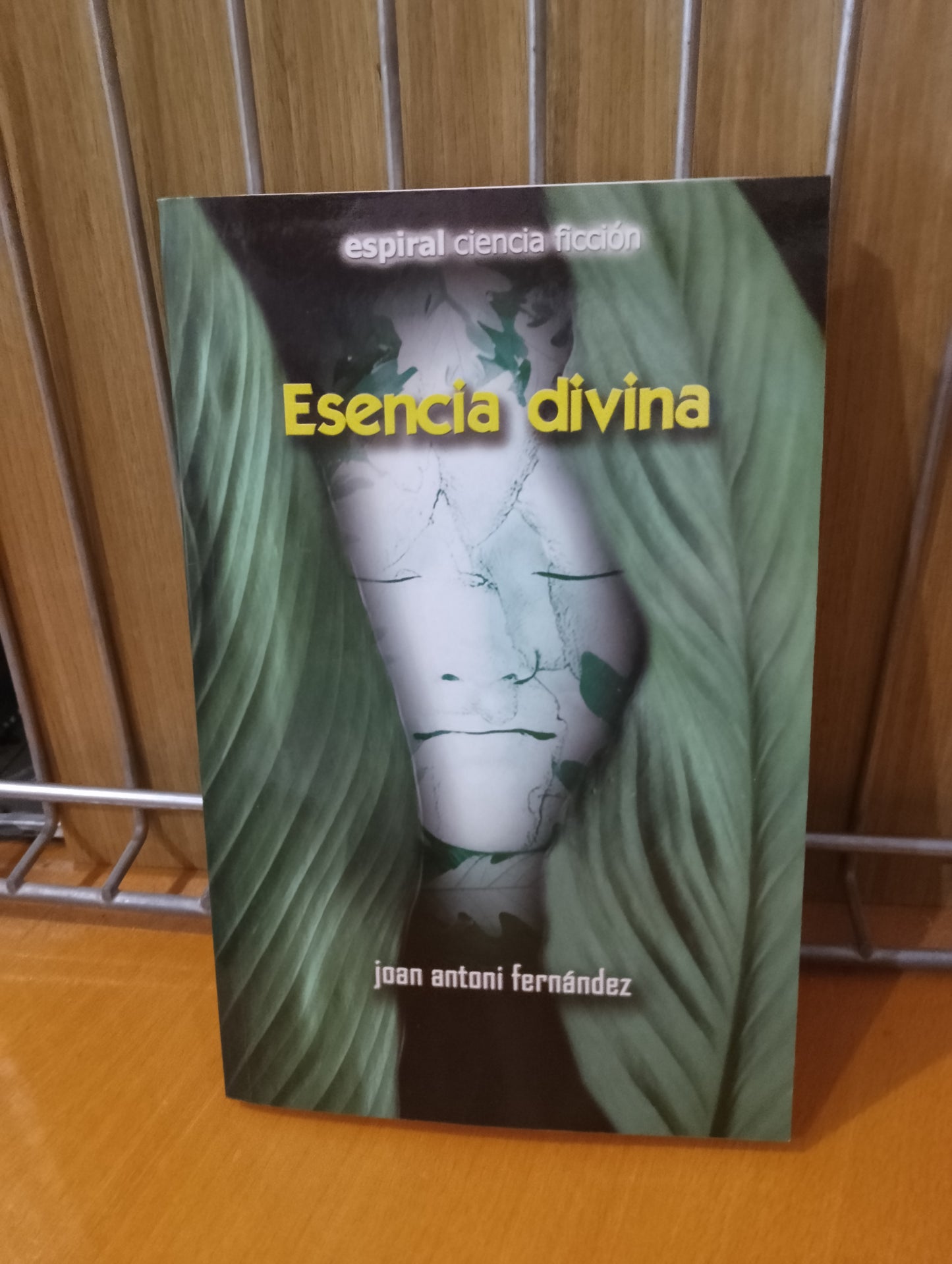 Esencia divina. Joan Antoni Fernández
