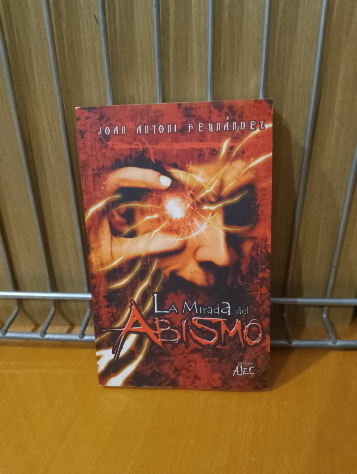 La mirada del abismo. Joan Antoni Fernández