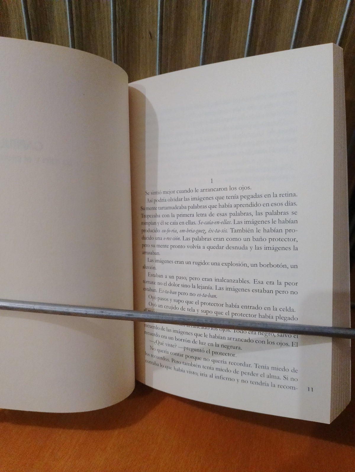 El libro de la tierra negra. Carlos Gardini
