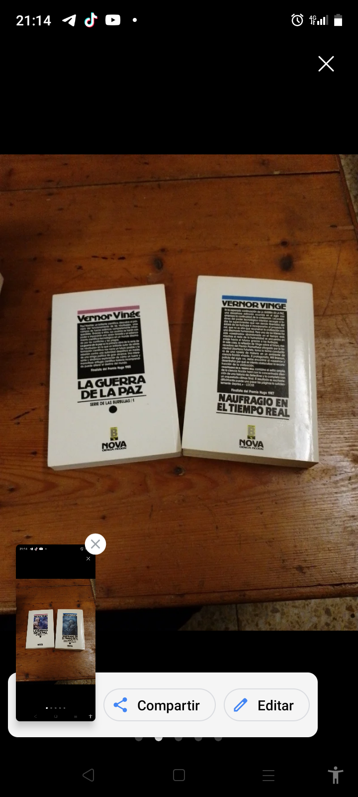 Serie de la burbujas. Vernor Vinge