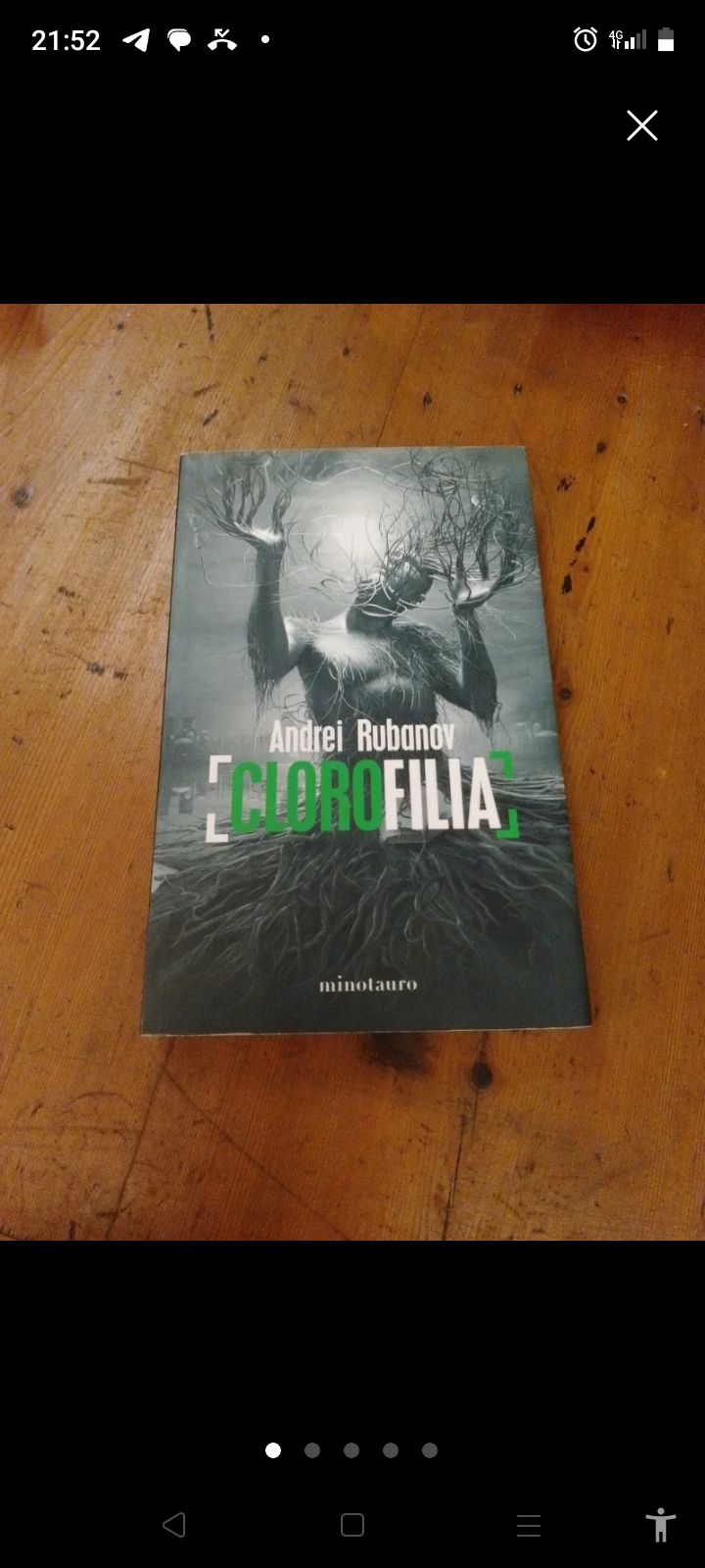Clorofila. Andrei Rubanv