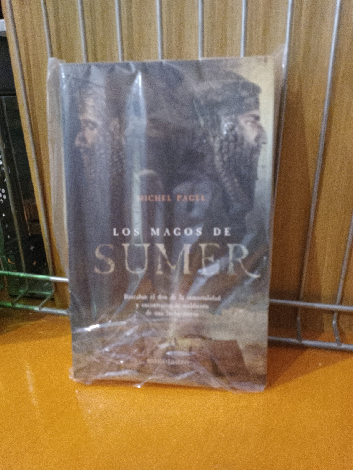 Los magos de Sumer. Michel Pagel