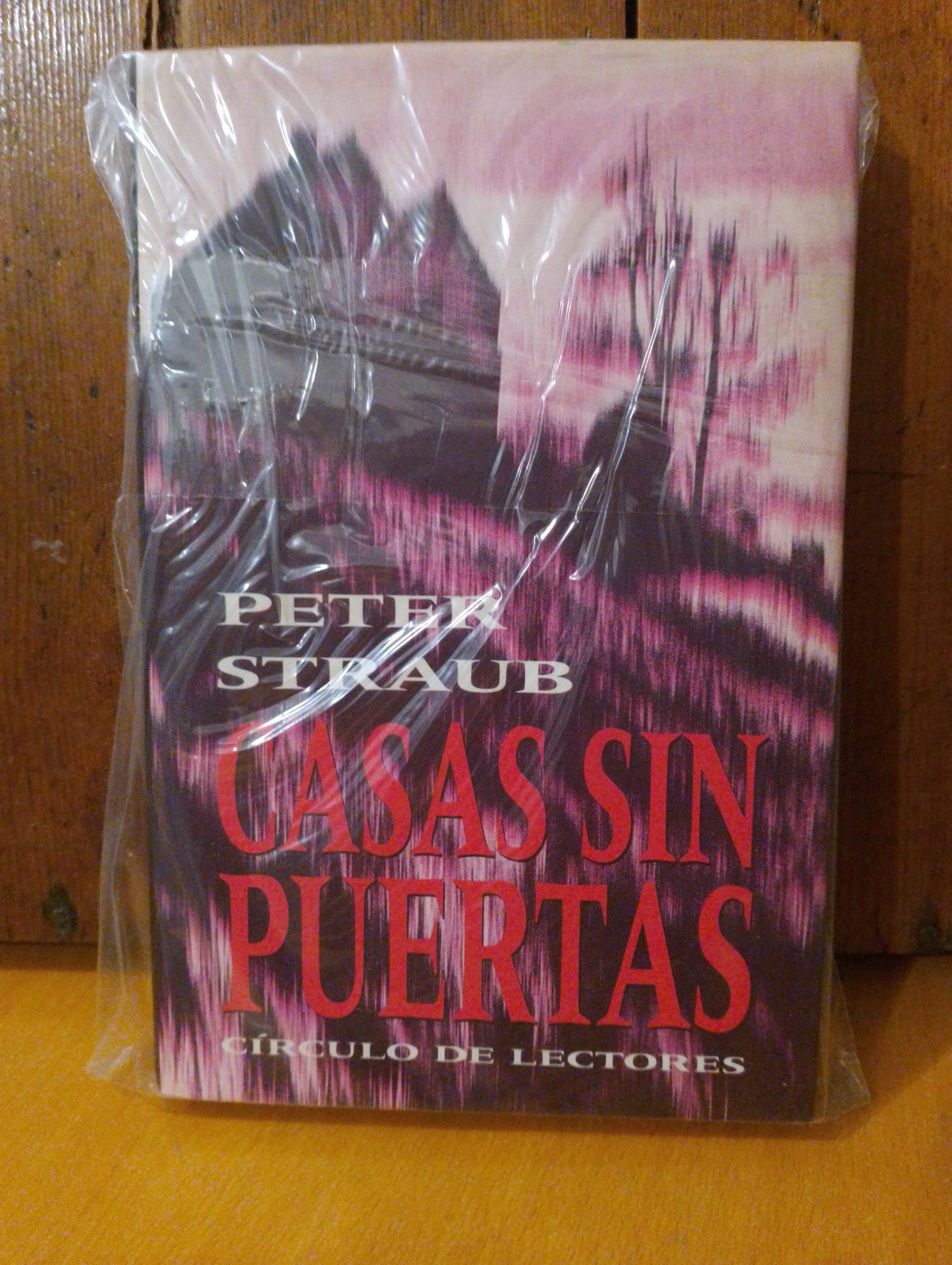 Casa sin puertas. Peter Straub