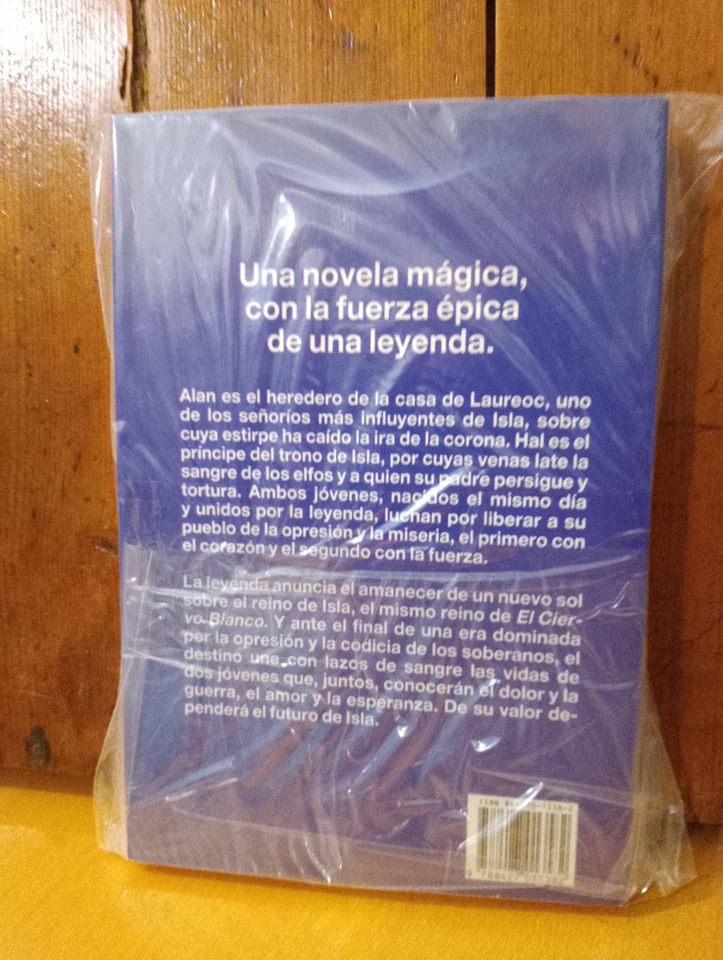 El sol de plata. Nancy Springer