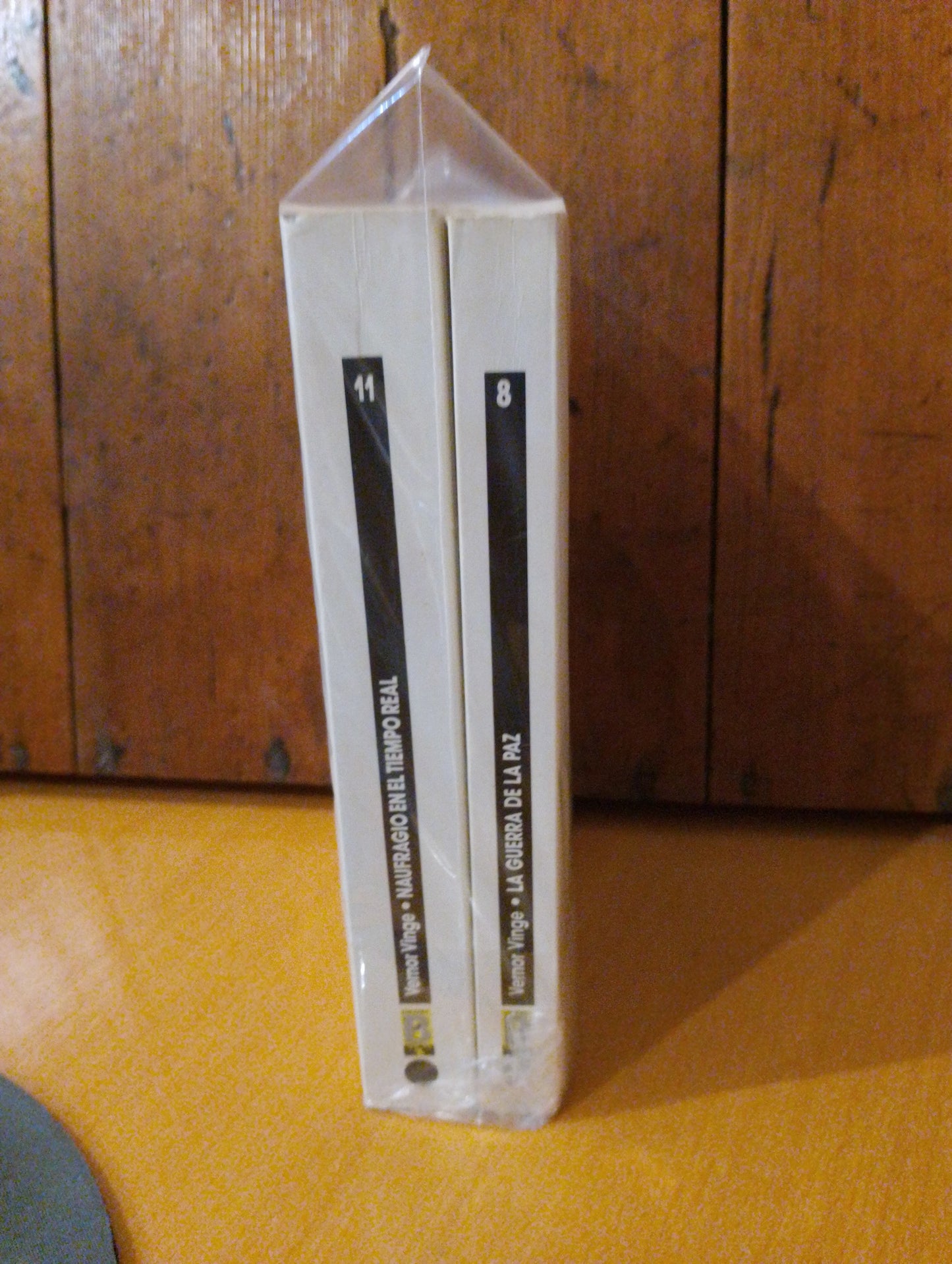 Serie de la burbujas. Vernor Vinge