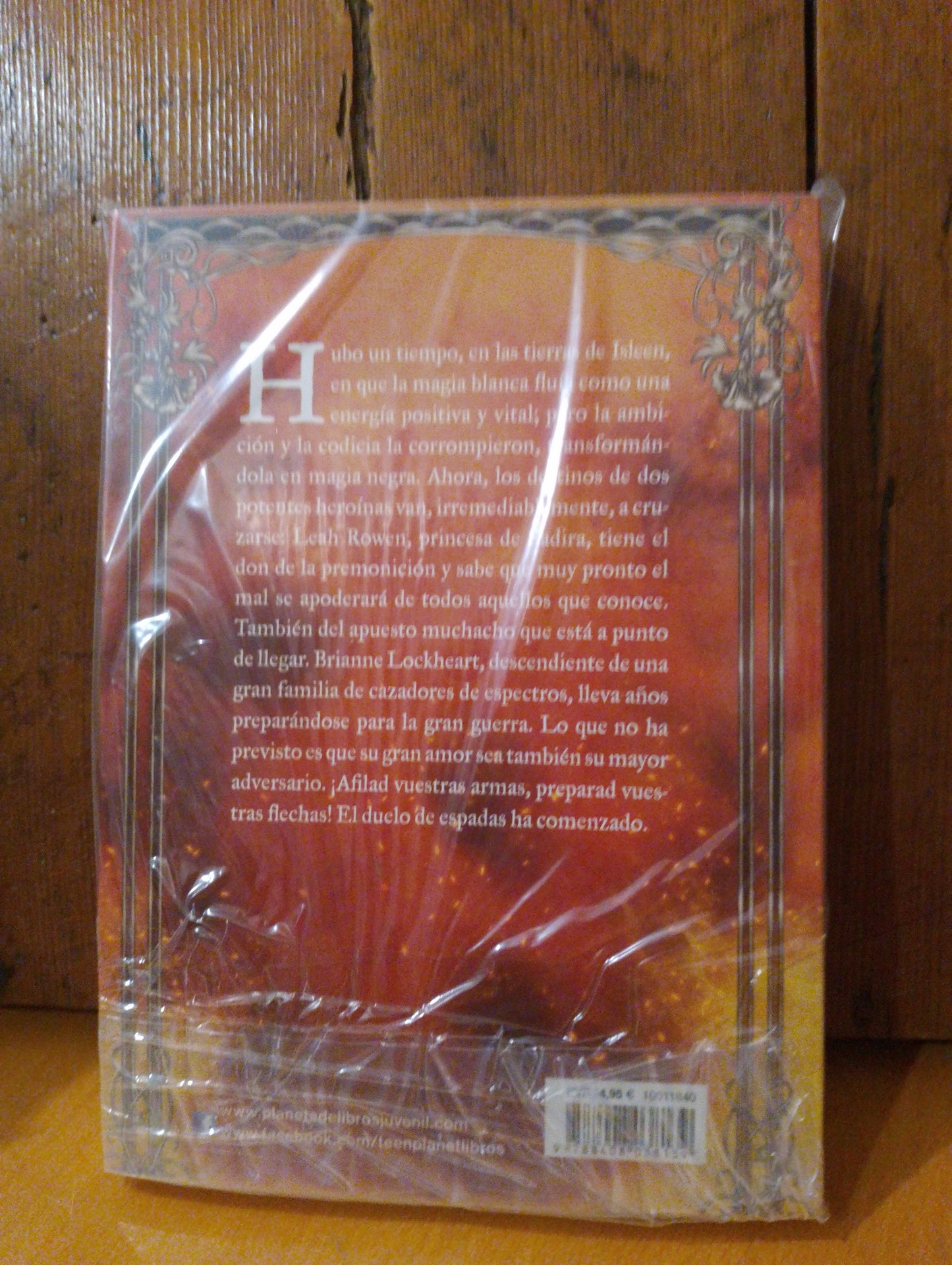 Duelo de espadas. Lucia González Lavado