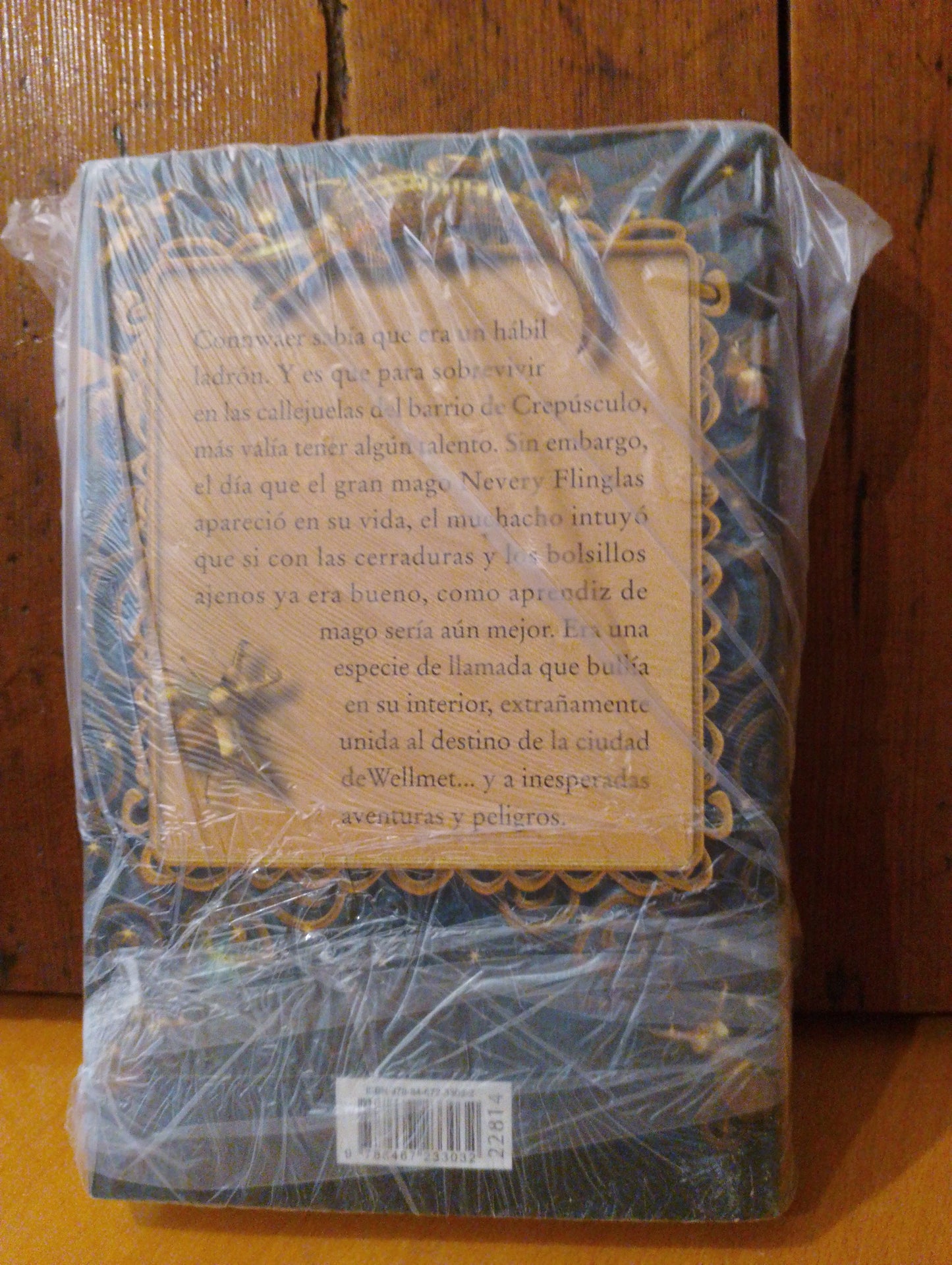 El ladrón mago. Sarah Prineas