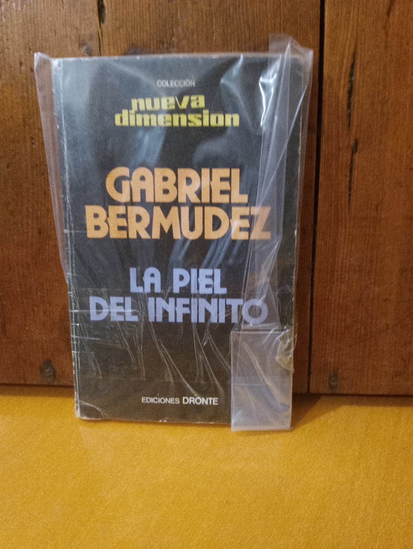 La piel del infinito. Gabriel Bermúdez