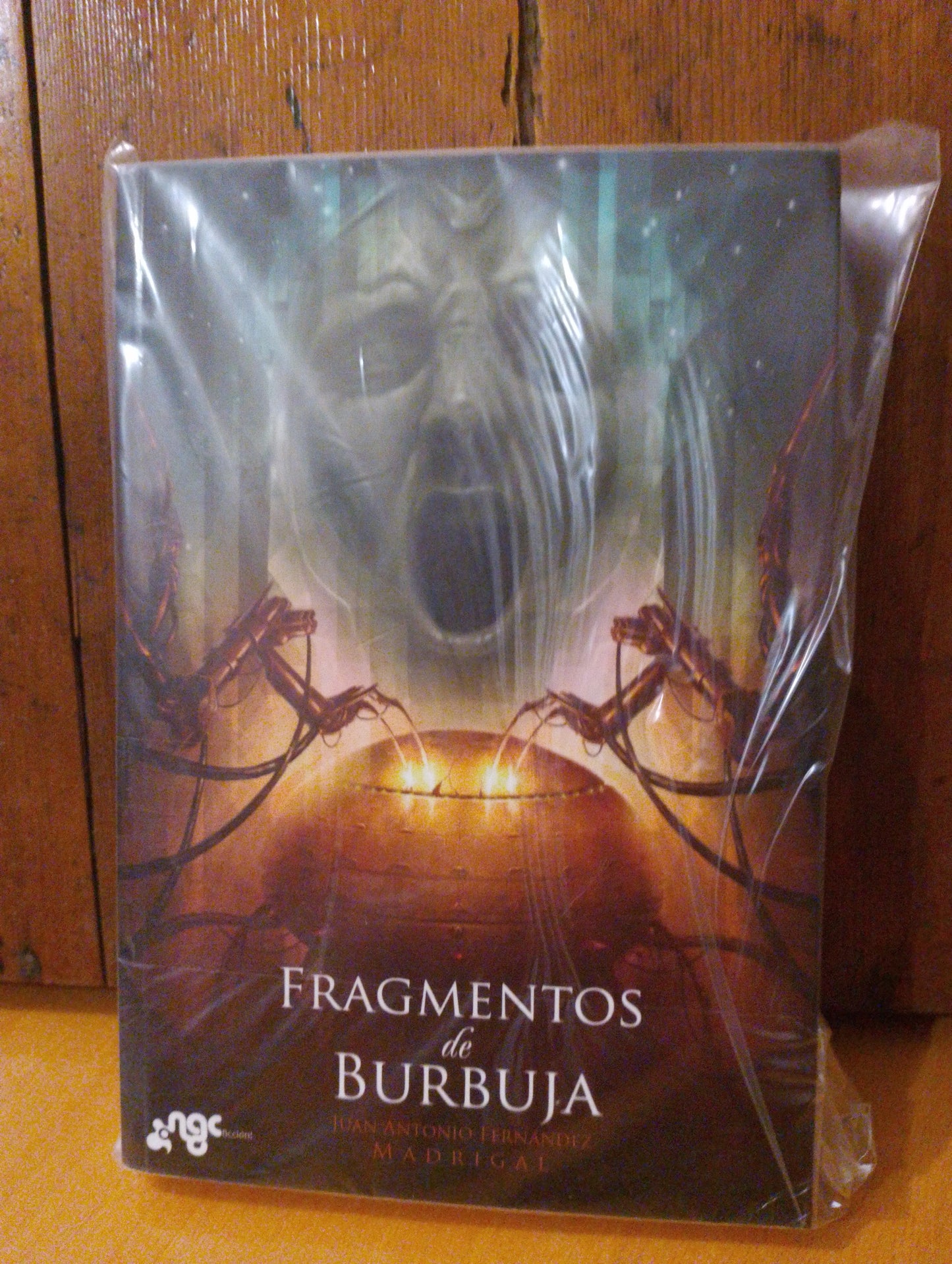 Fragmentos de burbuja. Juan Antonio Fernández