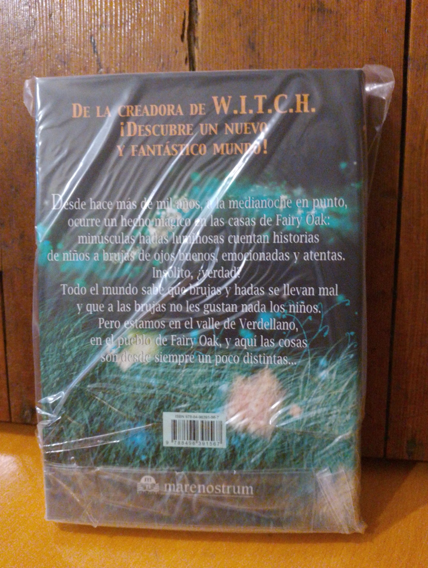 El secreto de las gemelas. Elisabetta Gnone