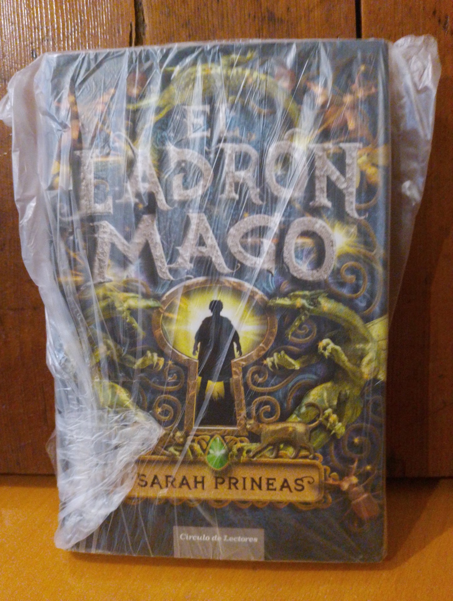 El ladrón mago. Sarah Prineas