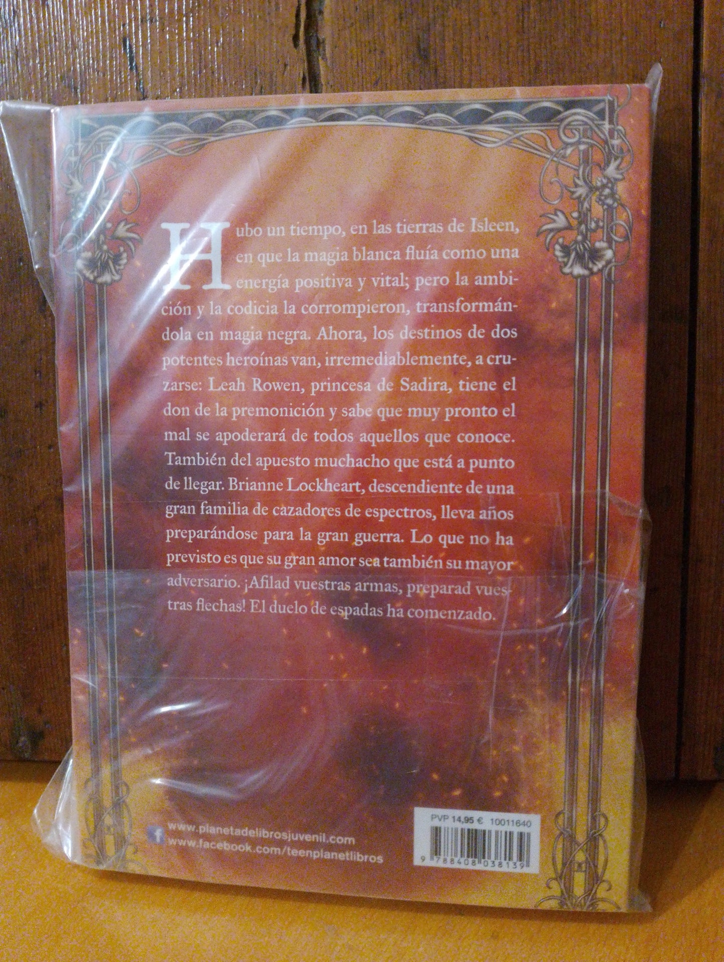 Duelo de espadas. Lucia González Lavado