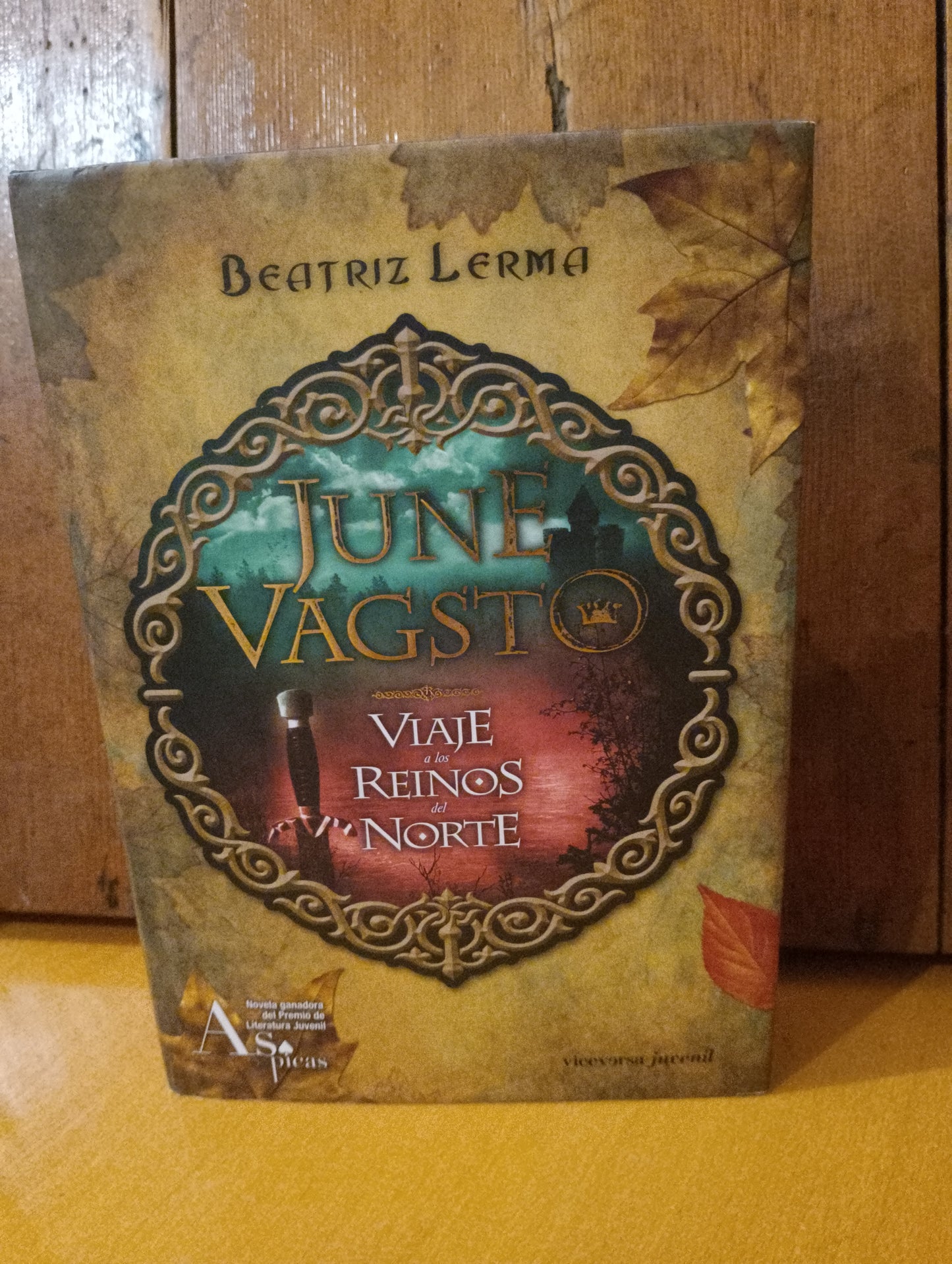 June Vagsto. Viaje a los reinos del norte. Beatriz Lerma