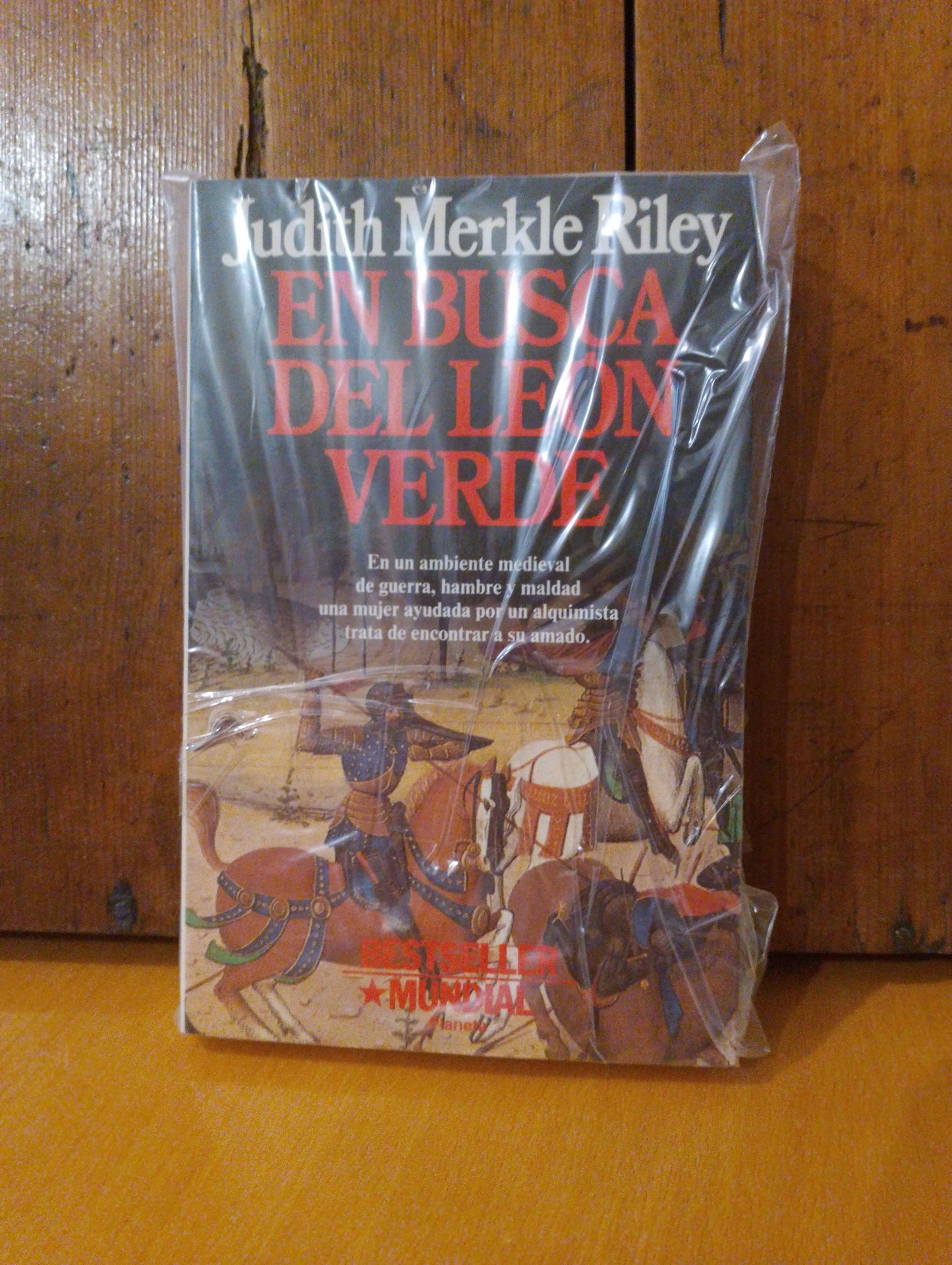 En busca del león verde. Judith  Merkle Riley