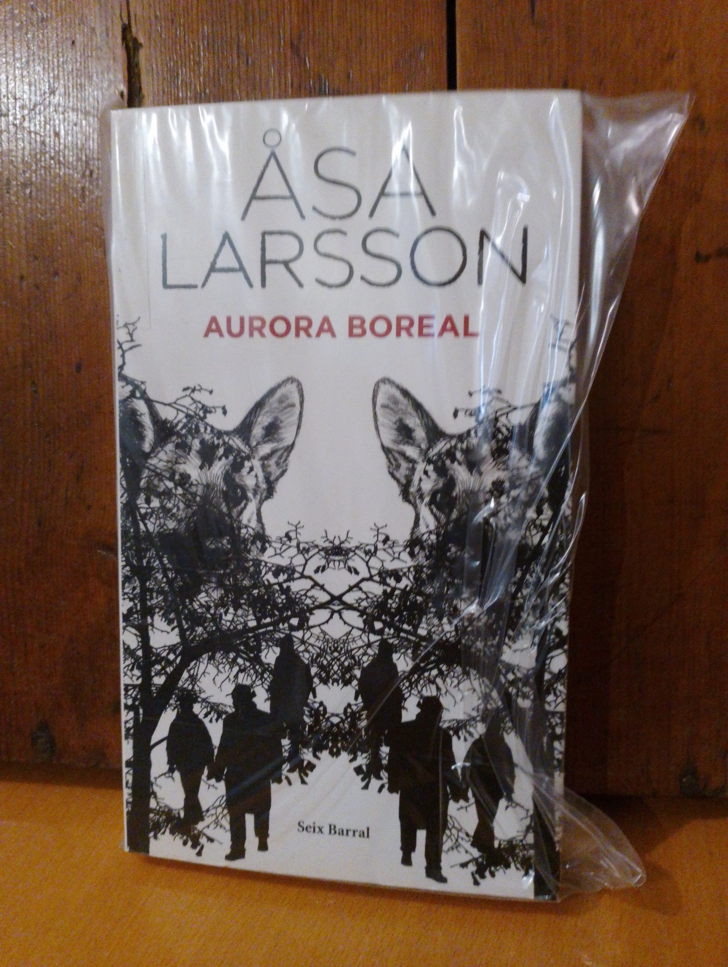 Aurora Boreal. Asa Larsson